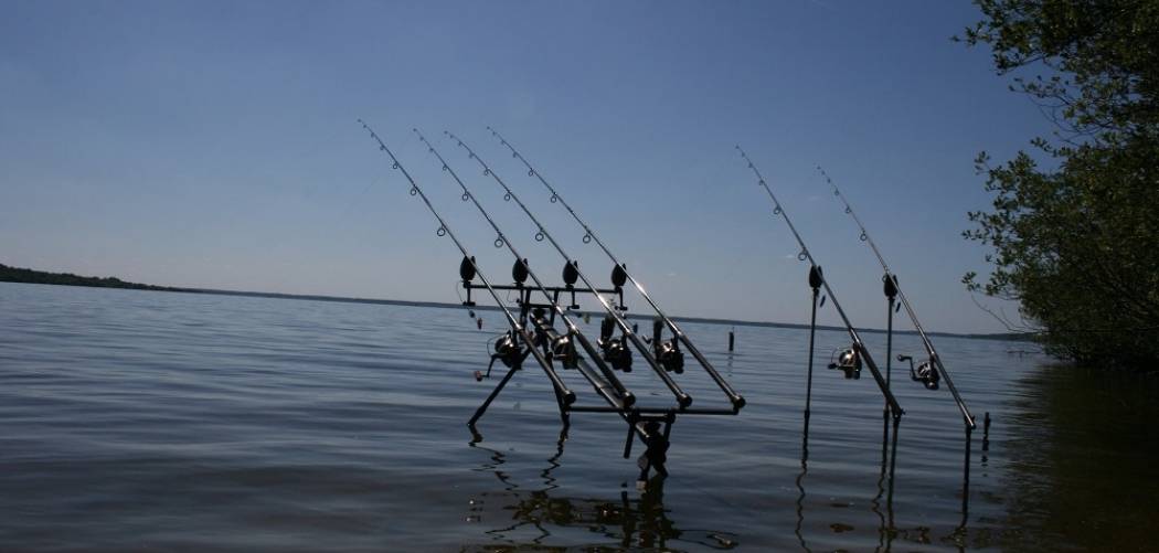 Large Lake Large Lake