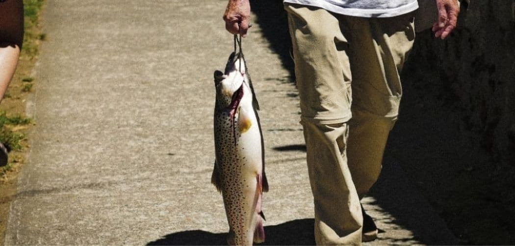 Catch and Keep Fishing 