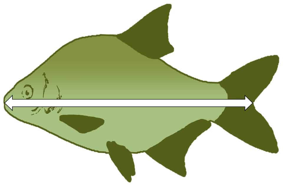 catch and keep fishing catch and keep fishing