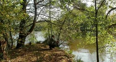 best carp stalking rods