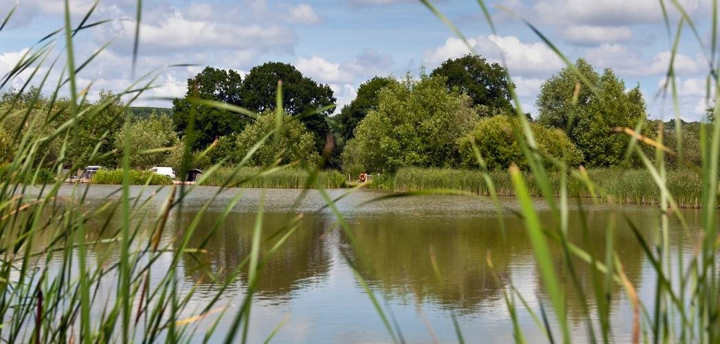 Monk Lakes Kent