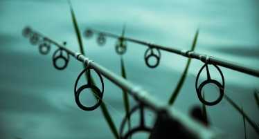 best carp rods