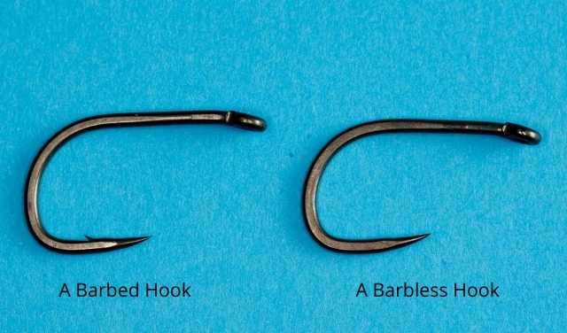 barbed vs barbless hooks for carp fishing rigs
