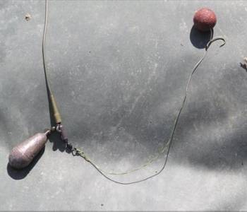 Basic carp rig for beginners step 6