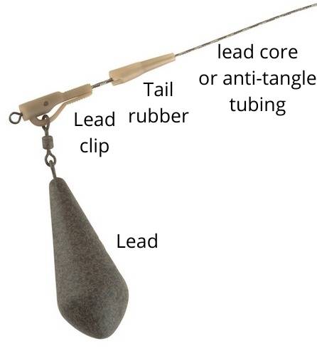 carp rig for beginners