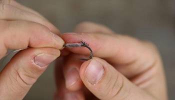 Carp fishing rigs for beginners - The D Rig - Step 5
