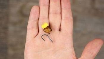 Carp fishing rigs for beginners - The D Rig - Step 7