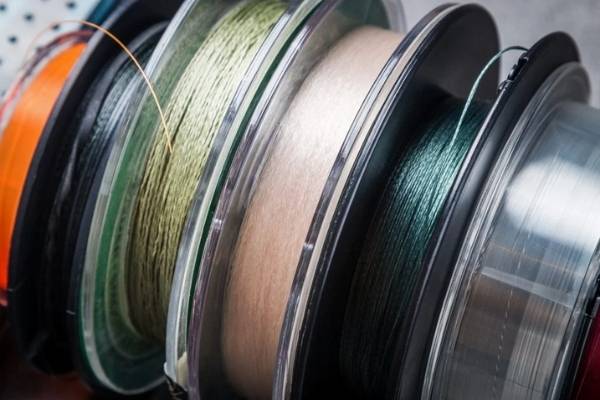 top carp fishing lines
