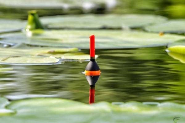 what breaking strain line when float fishing for carp