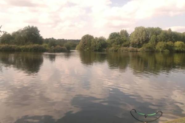 feeder fishing top swim