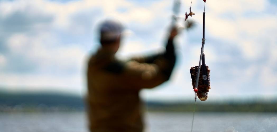 15 top feeder fishing tips