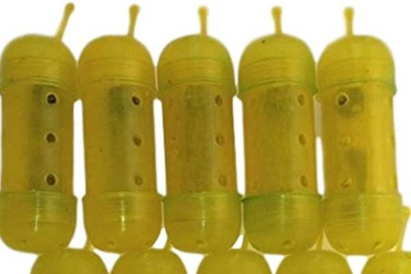 plastic, maggot feeder