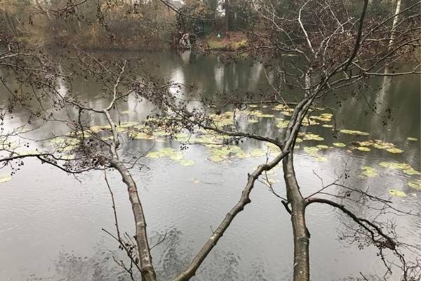 top 10 carp fishing tips in winter