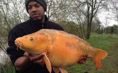 exclusive carp fishing venues in England