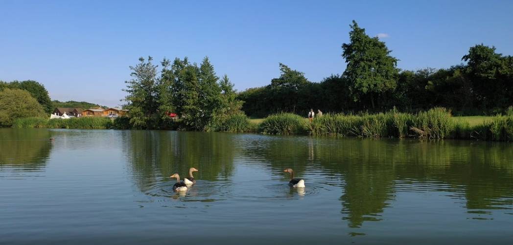 Brook Meadow Best Pet Friendly Fishing holiday lodges
