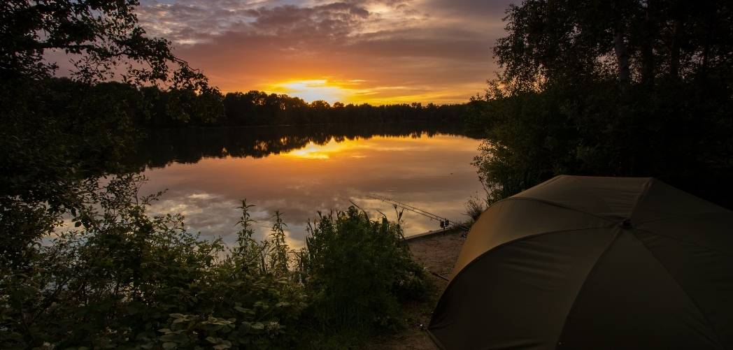 best exclusive carp lakes in england