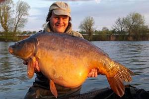 Holme Fen fishery meadows lake uk carp fisheries with 50lb carp in