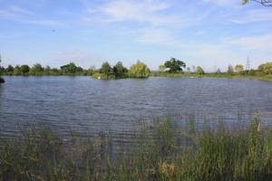 Nash Church Lake 50lb carp lake uk