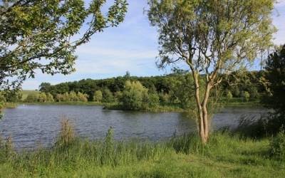 Nash Church Lake 50lb carp lake uk
