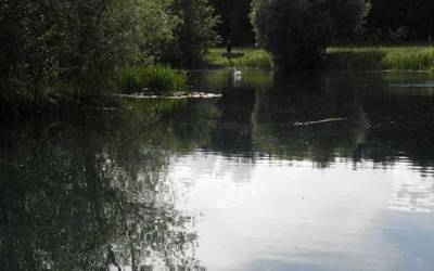 Exclusive carp lakes in England