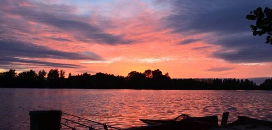 oxlease Lake best 50lb carp lakes oxlease