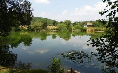 best exclusive carp lakes in England