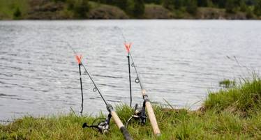 best barbel rods in the uk