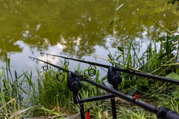 carp rod setup with indicators