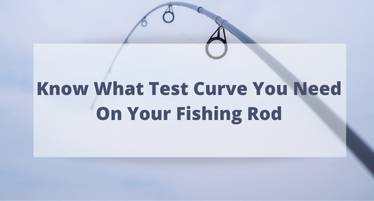 Fishing Rod Test Curve Calculator