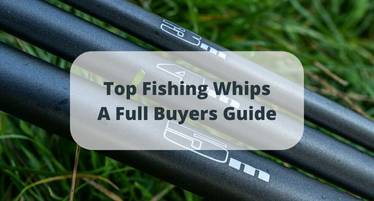 Best Fishing Whips